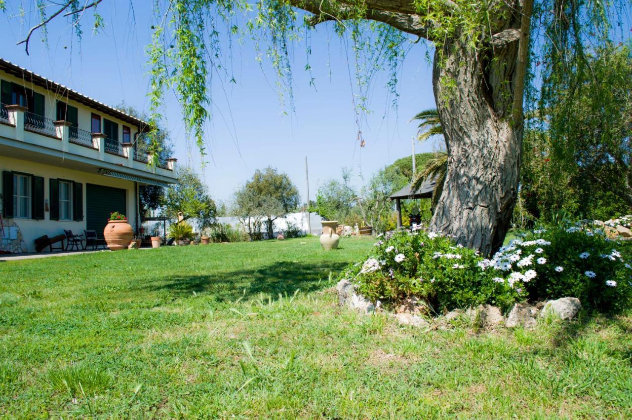 Villa Enli Capalbio Εξωτερικό φωτογραφία