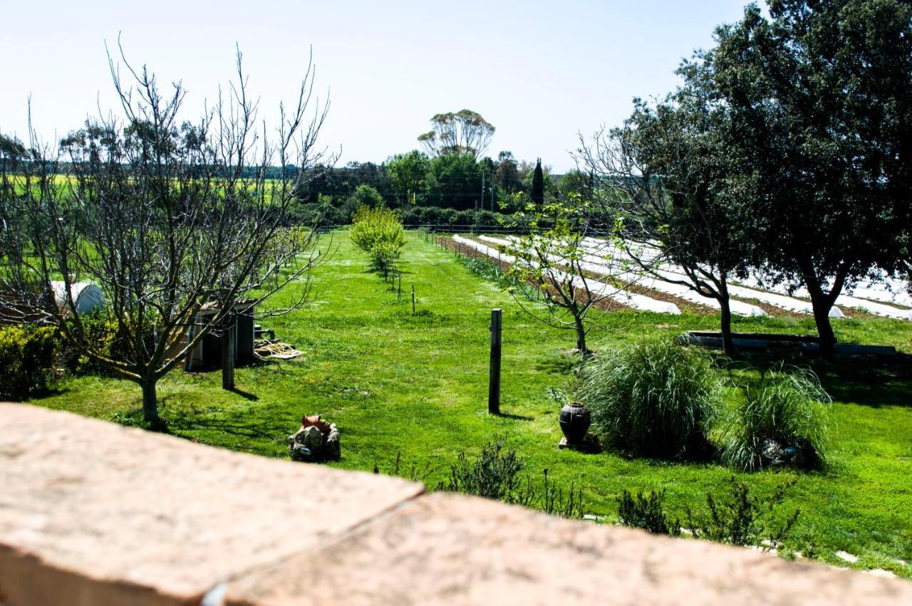 Villa Enli Capalbio Εξωτερικό φωτογραφία