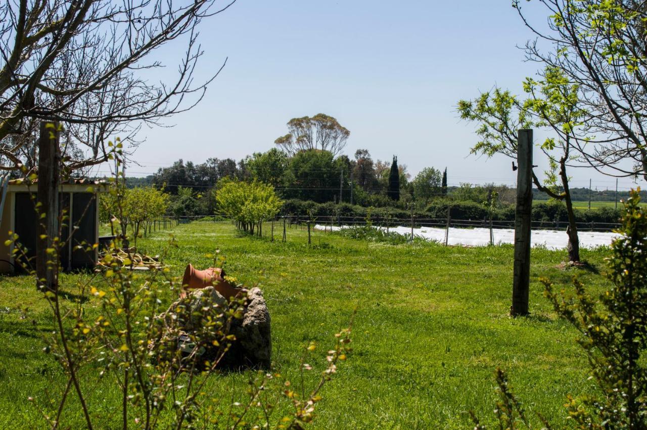 Villa Enli Capalbio Εξωτερικό φωτογραφία